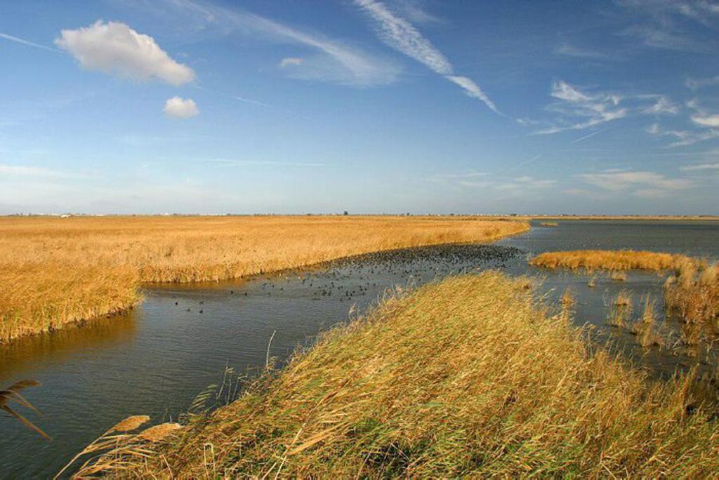Mi Apartamento En El Delta Del Ebro Deltebre Kültér fotó