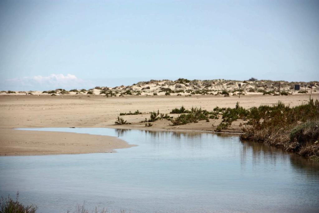Mi Apartamento En El Delta Del Ebro Deltebre Kültér fotó