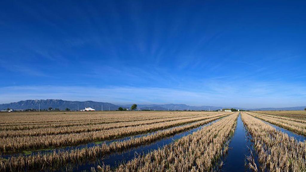 Mi Apartamento En El Delta Del Ebro Deltebre Kültér fotó