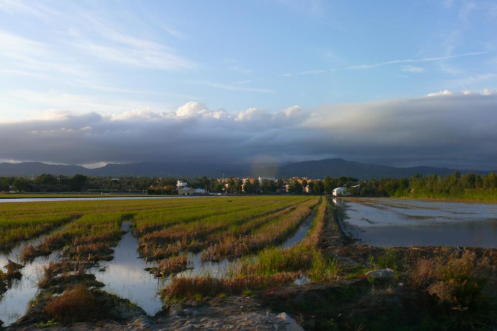 Mi Apartamento En El Delta Del Ebro Deltebre Kültér fotó
